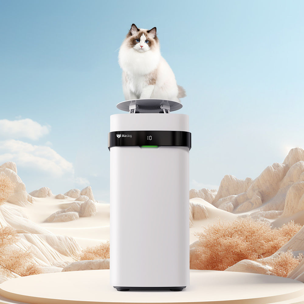 Manufacturer promotional cat-and-purifier artwork; the cat placement is not an operating or safety instruction.