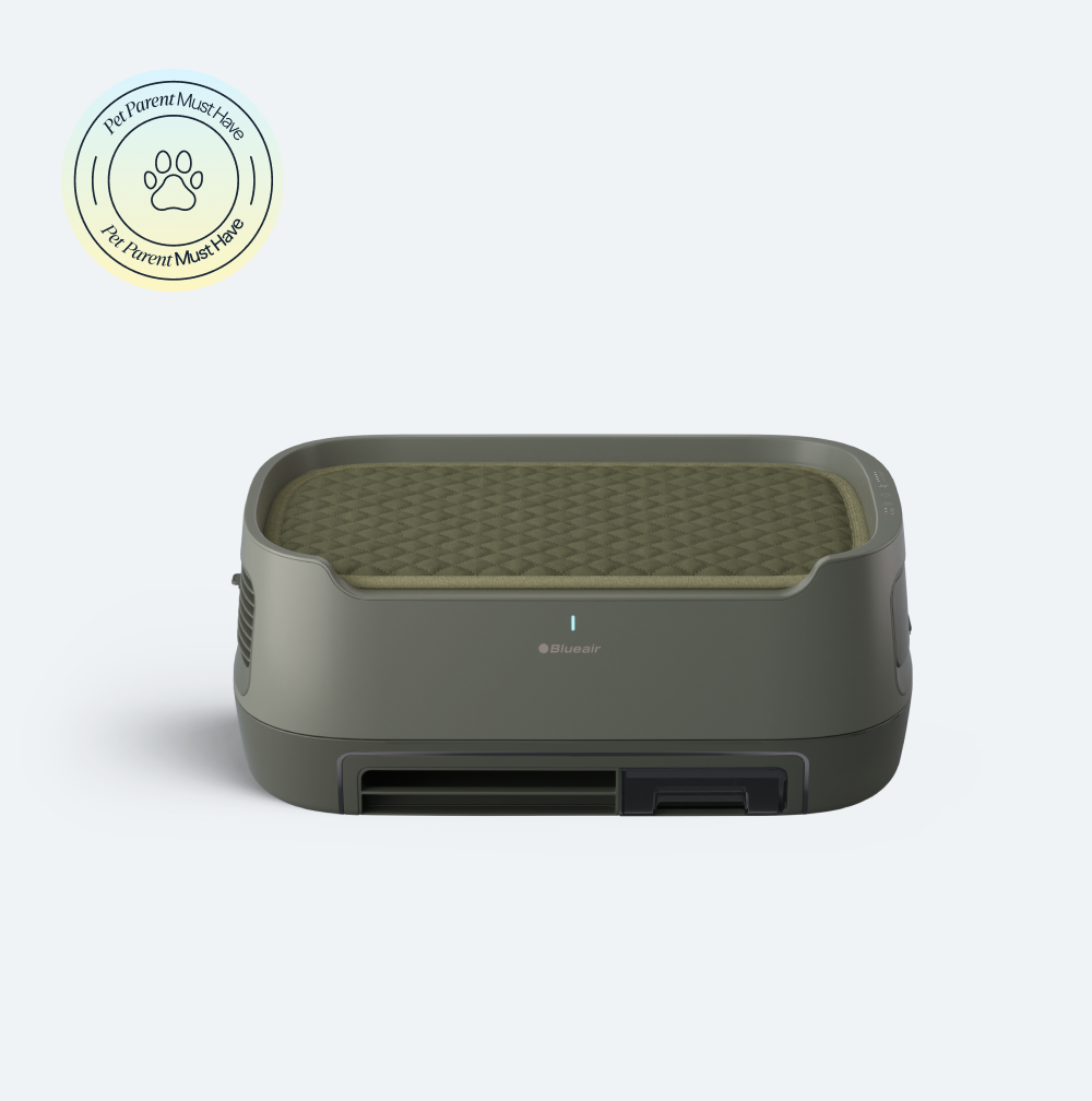 Low-profile Blueair PetAir Pro purifier with an olive-gray quilted pet resting bed on top